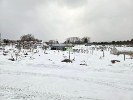 売土地（北広島市大曲）